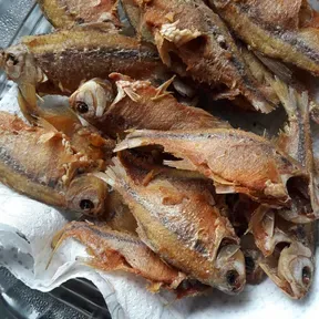 Piétro enrick