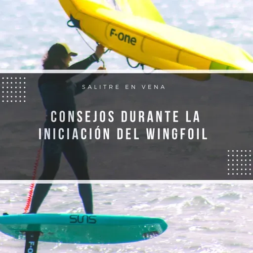 61 - Consejos en los inicios del WING