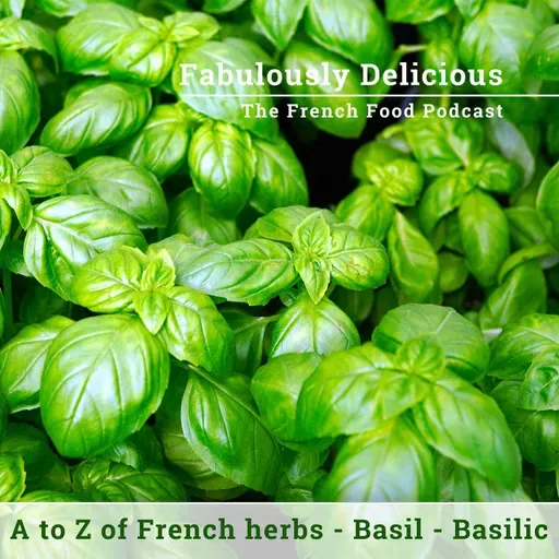 Revisit A to Z of French Herbs - Basil - Basilic