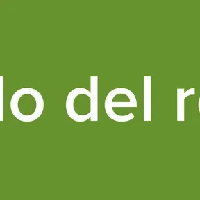 Siglo del rock