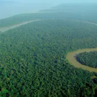 UN Climate Talks Kick Off in Brazil, Pope and King Share a Prayer for Creation and more.