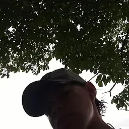 El favo hijuepu