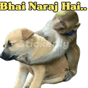 Friendshipday song