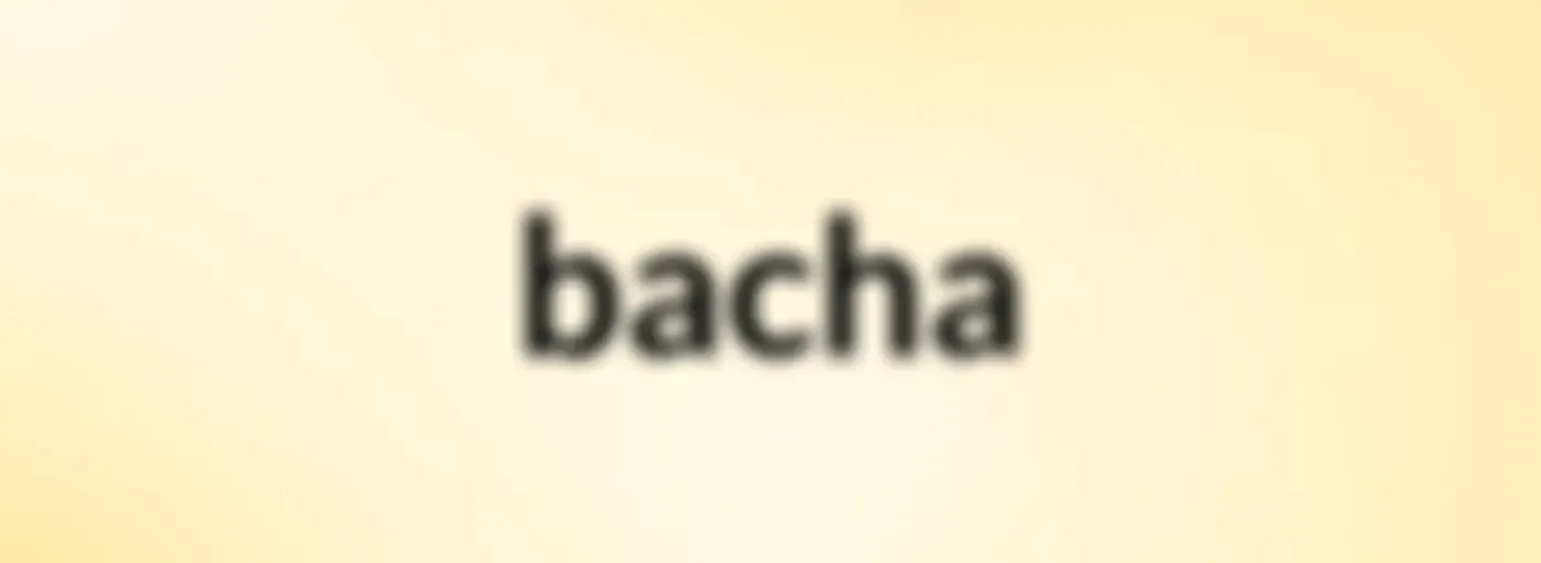 bacha