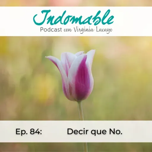 Ep.84 - Decir que No.