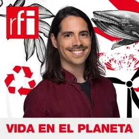 Vida en el Planeta