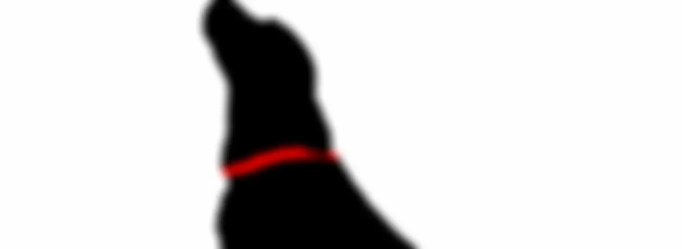 DogCast Radio - for everyone who loves dogs