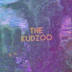 The Kudzoo Radio