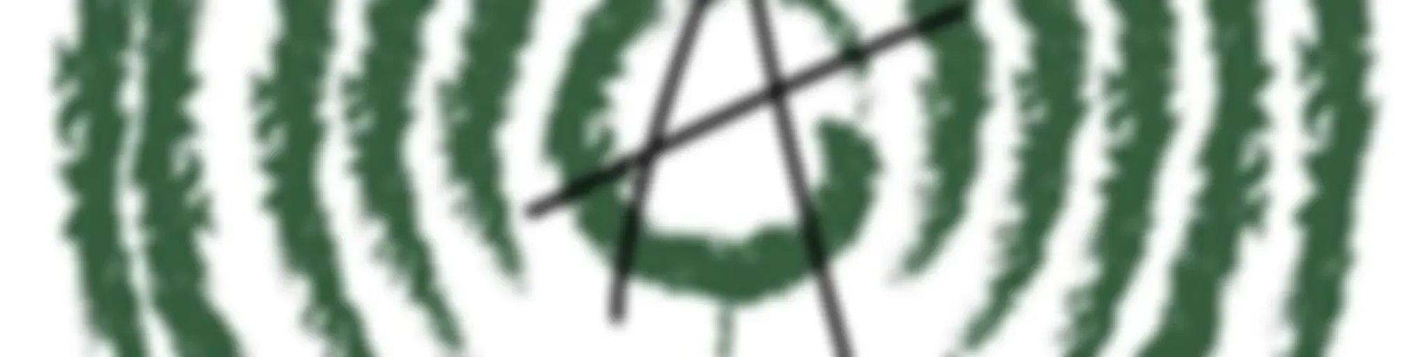 A Peroba, História raiz