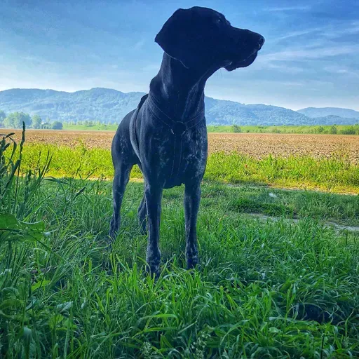 💫 ... nahrbtnik izkušenj (hvala Titanium) 🎒➿