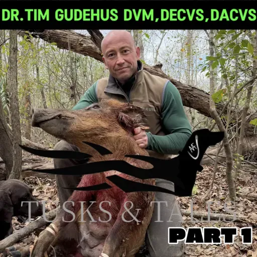 Dr. Tim Gudehus,DVM,DACVS,DECVS Episode 1