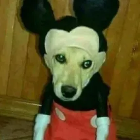 OscarParaco Radio