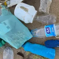 O tempo de vida do lixo: da garrafinha ao eletrodoméstico