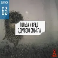 Выпуск 63: Польза и вред здравого смысла