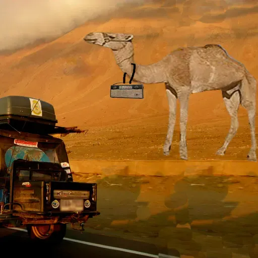 Los '60 desde un Mehari u otro 2021-11-16