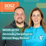 Amikor a kutya egy eszköz: így dolgoznak a keresőkutyák