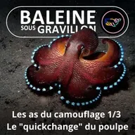 S07E163 Les as du camouflage 1/3 : Le "quickchange" du Poulpe
