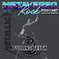 Metaverso Rock junto al tributo a Metallica Pulling Teeth