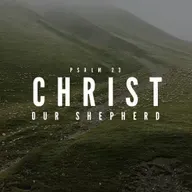 Psalm 23 | Our Shepherd Provides