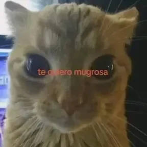 Freddy S