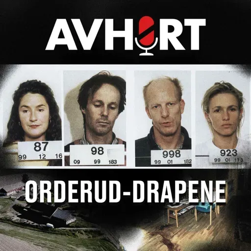 Orderud-drapene del 3