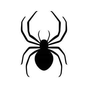 Radio Aranha