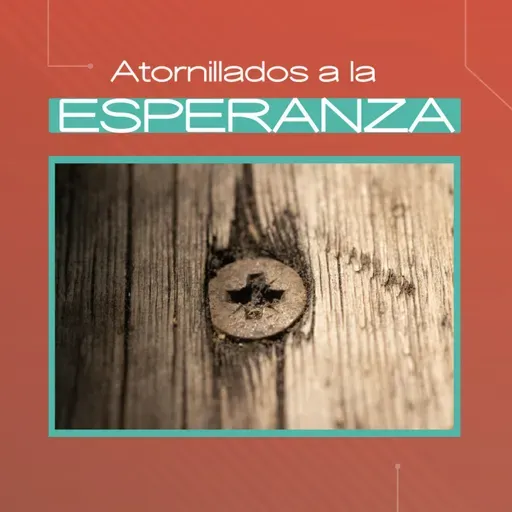 "Atornillados a la esperanza" (P: Alejandro Pavoni)