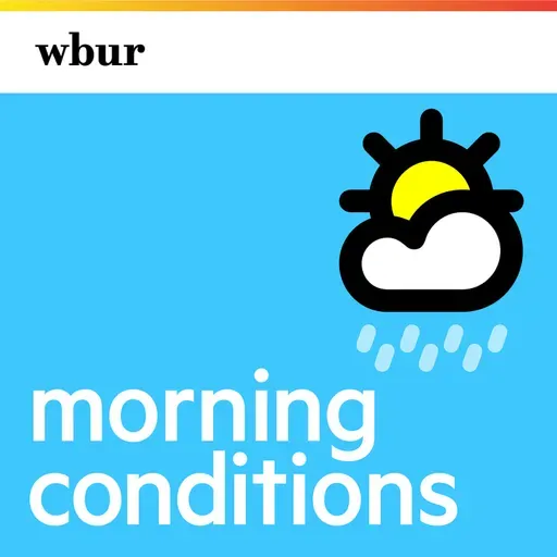 Forecast for Friday, Feb 19