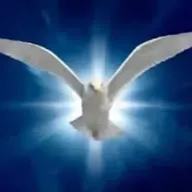 DEJEMONOS GUIAR POR EL ESPIRITU SANTO