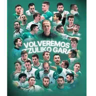 Balonmano con nuevo ciclo en Anaitasuna con el descenso de Asobal, la salida de Quique Domínguez y los planes de la entidad con su presidente Narvaiz