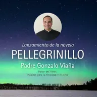 Significados y enseñanzas de la Novela "Pellegrinillo - Travesía de tu Vida" | 172