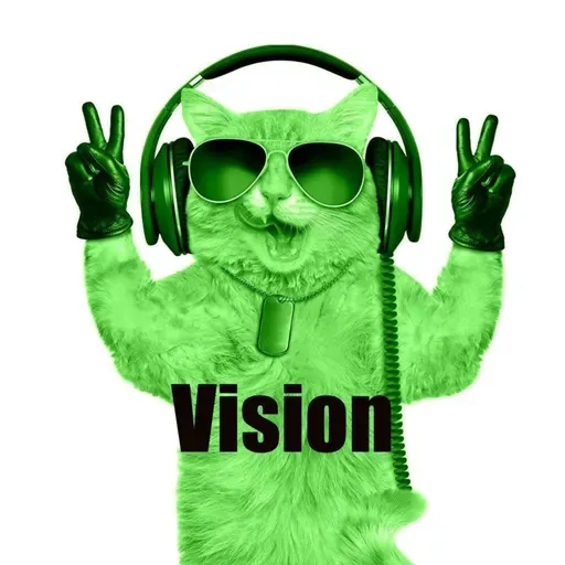 Vision