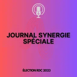 JOURNAL SYNERGIE SPÉCIAL 