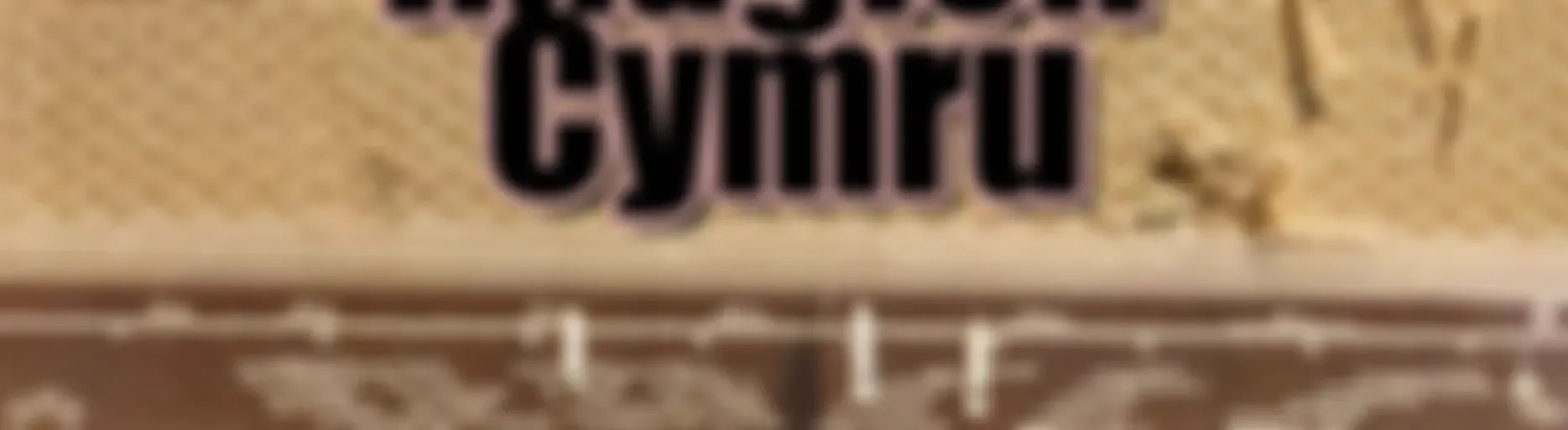 Rhaglen Cymru