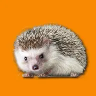 Quando ti fanno il tappo