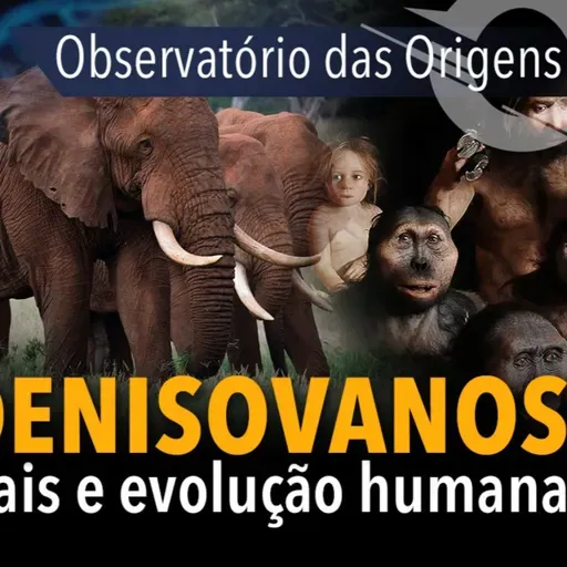 OBSERVATÓRIO DAS ORIGENS #6 Genes Denisovanos, Elefantes Sociais e evolução humana