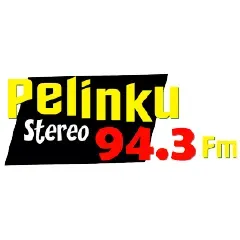 Pelinku Stereo en vivo