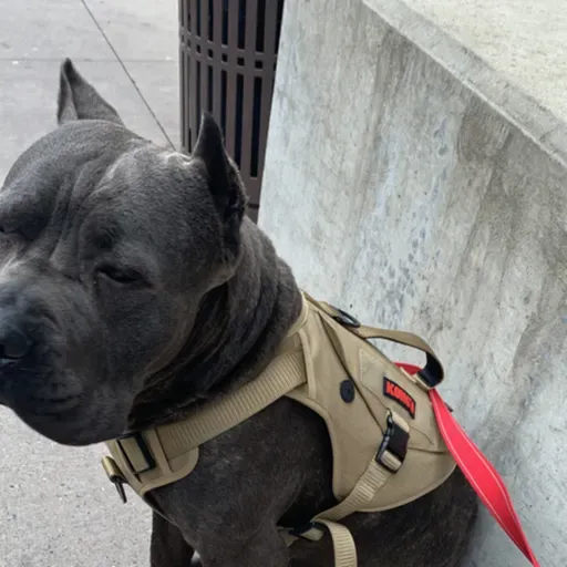 Lo que baja es bueno