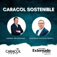 El rol de la Constitución en la protección del medio ambiente en Colombia