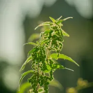 C'hwezh an deiz 2025 10 31