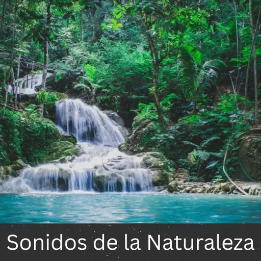 Small River Flowing - 10 Horas para Dormir, Meditación y Relajación