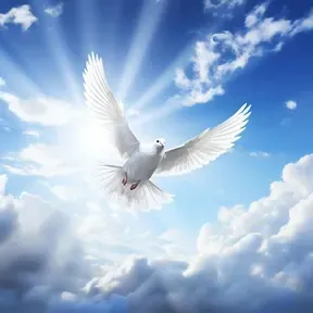 J.A PÇ de Deus