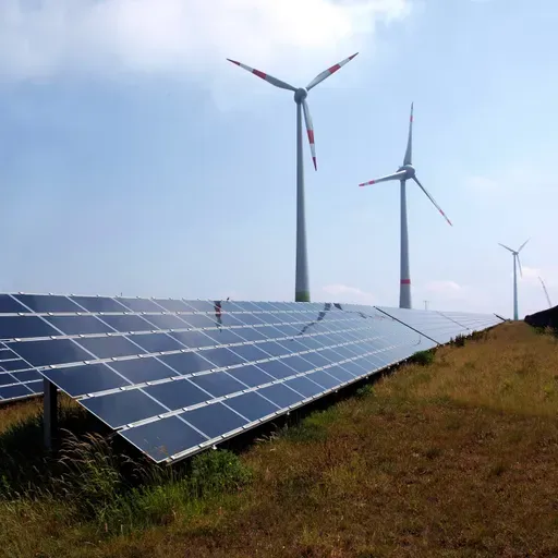 ¿La TRANSICIÓN ENERGÉTICA es VIABLE con MILEI? | Paloma Varona
