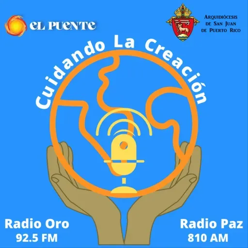 481. Grupo CIRMA y el Proyecto de la Cámara 862.