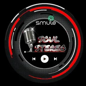 SOUL STEREO