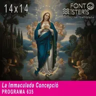 La Immaculada Concepció | Font de Misteris 14x14 (635)
