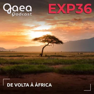 GaeaExperience 36 - De volta à África