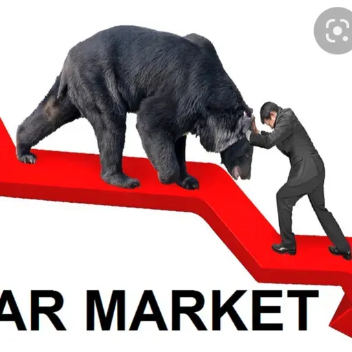 Bear market!!🐻🧸 suportar esse momento difficil📉📉📉