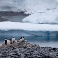 Literary horror set in Antarctica is subject of UW professor’s novel; Your guide to summertime cooking and grilling