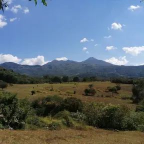 Radio Altos de la Cruz